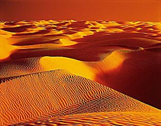 任天堂有望继续更新《健身环大冒险》追加内容